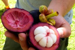 Princeville: Guidet tur til botanisk have og chokolade