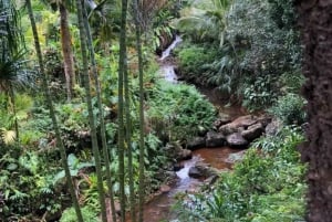 Princeville: Guidet tur til botanisk have og chokolade