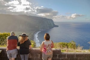 Big Island: Privat ö-rundtur med lunch och middag