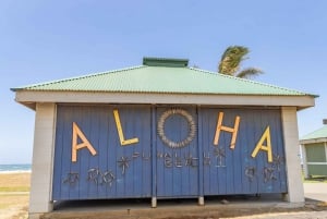 Groot eiland: Privétour rond het eiland met lunch en diner