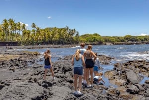 Big Island: Prywatna wycieczka po wyspie z lunchem i kolacją