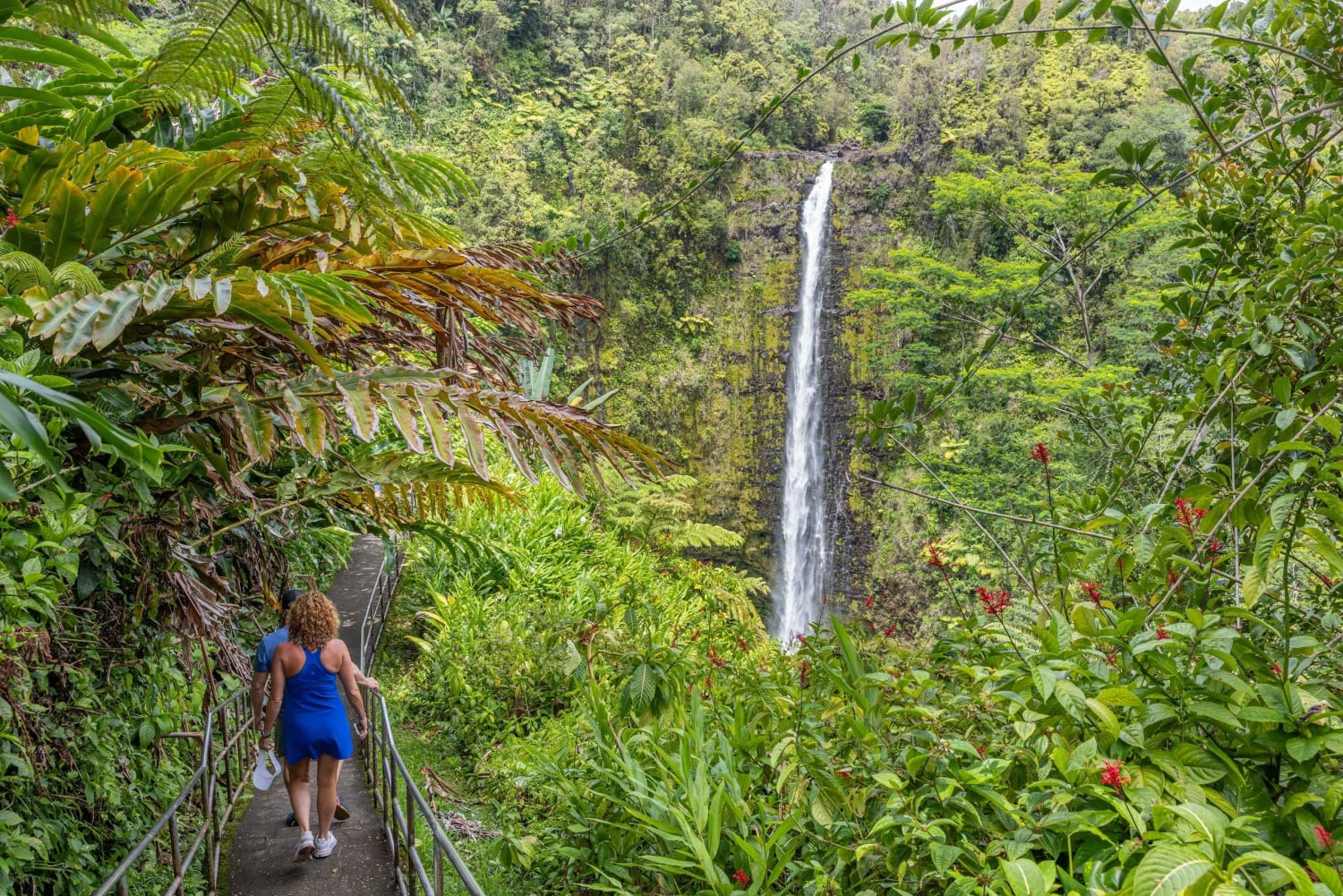 Private: All Inclusive Big Island Waterfalls Tour