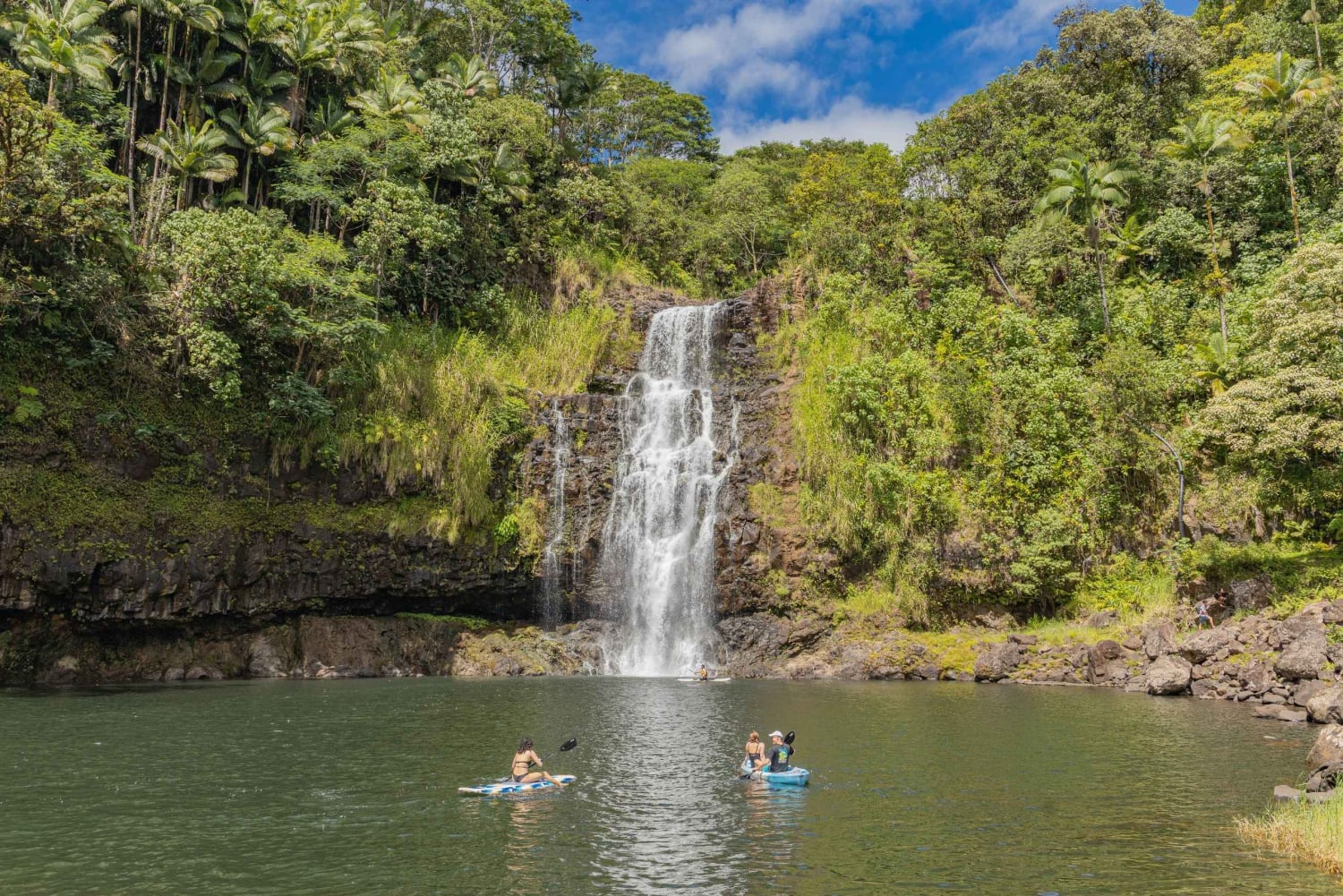 Private: All Inclusive Big Island Waterfalls Tour