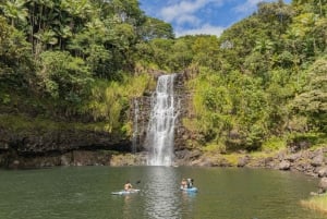 Privé - all-inclusive Big Island-watervallentour