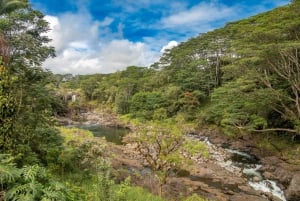 Prywatna wycieczka all inclusive po wodospadach Big Island