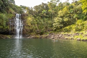Private - All Inclusive Big Island Waterfalls Tour (en anglais)