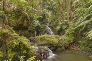 Privé - all-inclusive Big Island-watervallentour