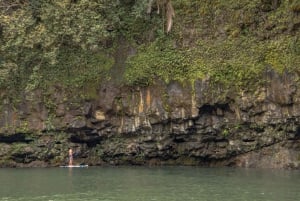 Private - All Inclusive Big Island Waterfalls Tour