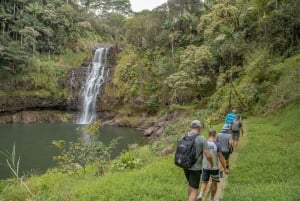 Privat - All inclusive-tur till vattenfallen på Big Island