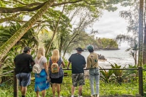 Prywatna wycieczka all inclusive po wodospadach Big Island