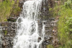 Yksityinen - All Inclusive Big Island vesiputoukset Tour