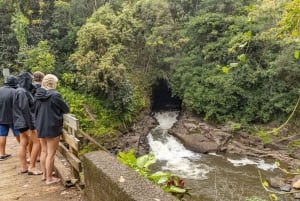 Yksityinen - All Inclusive Big Island vesiputoukset Tour