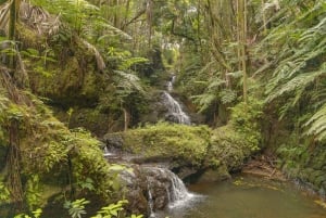 Private: All Inclusive Big Island Waterfalls Tour