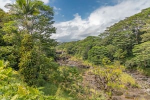Hawaii: Privat tur med alt inklusive til vulkaner og vandfald