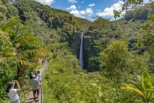 Hawaii: All-inclusive Volcanoes and Waterfalls privat rundtur