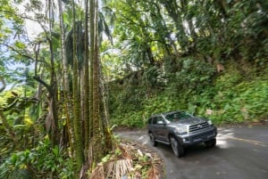 Hawaii: All-Inclusive Vulkane und Wasserfälle Private Tour