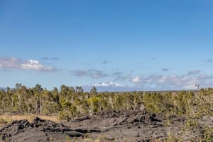 Hawaje: Prywatna wycieczka All-Inclusive do wulkanów i wodospadów