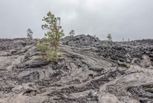 Tout compris : visite des volcans, du tunnel de lave et de la plage de sable noir