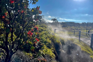 Private Big Island Tour:Coffee, Beaches,Volcanos & Waterfall