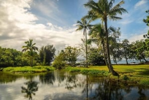 Private Big Island Tour:Coffee, Beaches,Volcanos & Waterfall