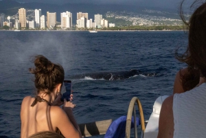 From Honolulu: Private Catamaran Cruise with Captain & Crew