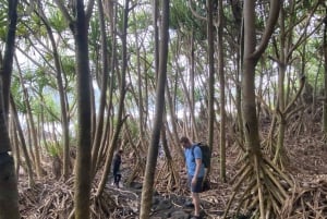 Kort privat vandretur til hemmelig jungle-tidevandspool