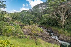 Cruzeiro especial privado em Hilo - Cachoeiras e vulcões