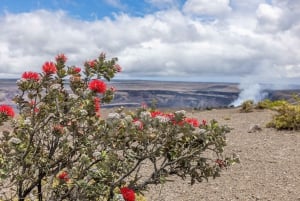 プライベートヒロクルーズスペシャル - 滝と火山