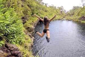 マウイ島ジャングルの滝アドベンチャー（プライベート、GoPro動画付き）