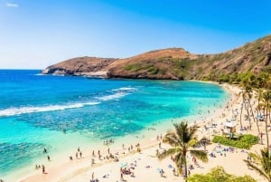 Private Pearl Harbor & Oahu Island Tour