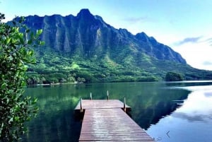 Private Pearl Harbor & Oahu Island Tour