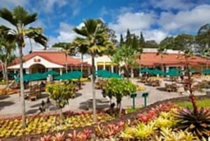 Private Pearl Harbor & Oahu Island Tour