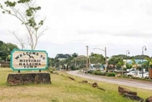 Private Pearl Harbor & Oahu Island Tour