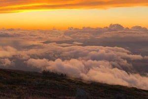 Private Road to Hana and Haleakala Sunset Open Air Jeep Tour