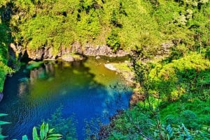 Private Road to Hana Tour - Full Day LARGE GROUP