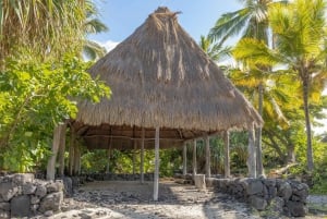 Excursion privée à terre au Kona Coffee & National Historic Park