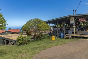 Privat utflukt på land Kona Coffee & National Historic Park