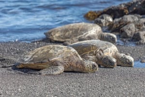 Excursión Privada en Tierra Café de Kona y Parque Histórico Nacional