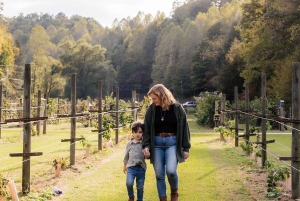 Privé-vakantiefotoshoot met fotograaf in Honolulu