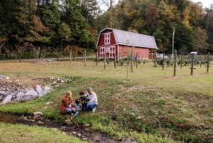 Privé-vakantiefotoshoot met fotograaf in Honolulu