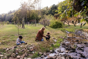 Yksityinen lomakuvaus valokuvaajan kanssa Lahainassa