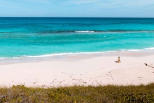 Privé-vakantiefotoshoot met fotograaf in Oahu