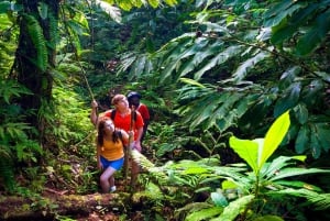 Tour privato delle cascate, della foresta pluviale e del cioccolato artigianale