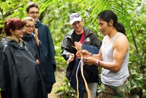 Tour Privado de las Cataratas, la Selva Tropical y el Chocolate Artesanal