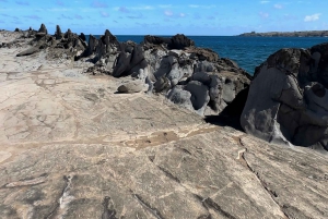 Privat jeeptur i friluft langs kysten av West Maui