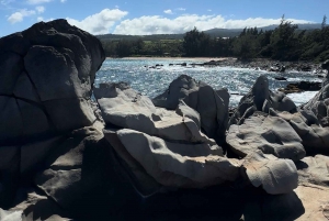 Privat jeeptur i friluft langs kysten av West Maui