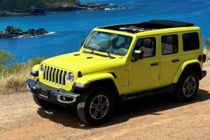 Privat jeeptur i friluft langs kysten av West Maui