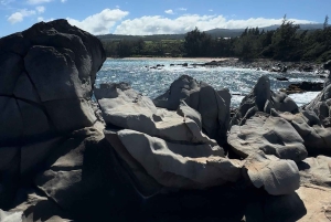 جولة خاصة بسيارة جيب مفتوحة في الهواء الطلق على ساحل ماوي الغربي