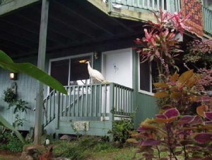 Rainbow Plantation Bed and Breakfast