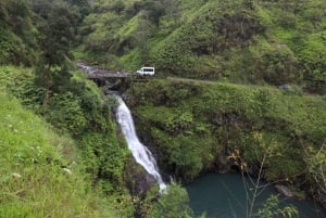 Estrada para Hana: Guia profissional, comida, natação, cachoeiras